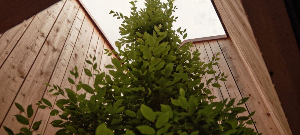 Filename: 50_EFH-Peiting_2026-06-29